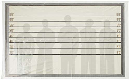 Beistle Printed Plastic Criminal Mug Shot Line Up Wall Photo Booth Backdrop Party Scene Investigation Decorations For Birthday And Bachelorette Parties