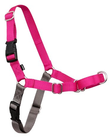 PetSafe Easy Walk No-Pull Dog Harness - Ultimate Harness to Help Stop Pulling - Pull-Free Walks - Take Control & Teach Better Leash Manners - Patented Martingale Loop Design - Raspberry, Medium/Large