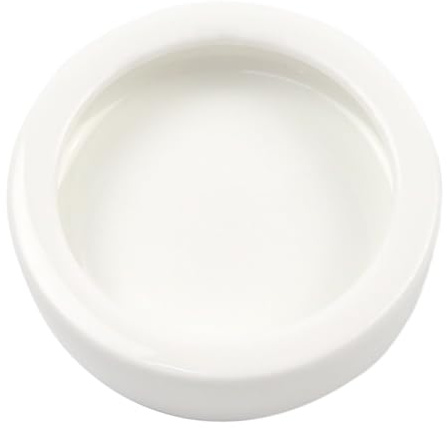 OMEM Worm Dish Mini Reptile Food Bowl Ceramics Made (S)