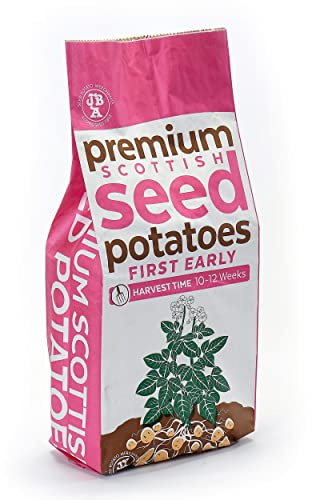 Jamieson Brothers 20kg Red Duke of York Seed Potatoes – Bulk Bag of JBA First Early Spuds – For Chips, Roasting & Boiling – Scottish-Grown – Plant at Home in Gardens, Patios, in Pots & Allotments