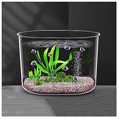 Aquarium Aquarium, sturzsicheres Acrylmaterial, transparentes Aquarium, kleines und mittelgroßes Heimaquarium, Goldfischbecken, Schildkrötenbecken Fischtank (Size : Small)
