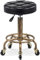 WTFDSHFH Hocker mit Rädern, Frisierstuhl, höhenverstellbar, hydraulisch, mit Rädern, rollender Salonhocker, warmes Leben