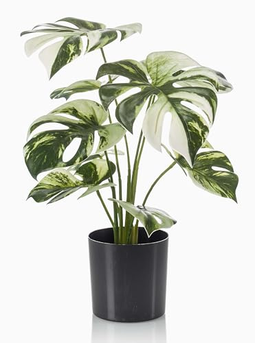 artplants.de Filodendro Artificial Monstera Deliciosa Variegata Zaine | Verde-Blanco, 40 cm - Filodendro Artificial