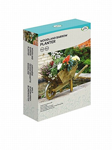 Extra Large Woodland Wheelbarrow Planter