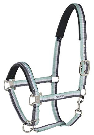 Standard Halfter PIN BUCKLE