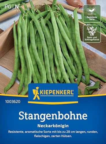 Kiepenkerl Stangenbohnensamen Neckarkönigin 1003620, Gemüsesaat | Resistente Gemüsesamen für Bohnen mit bis zu 28 cm langen Hülsen, Inhalt für 15-20 Stangen, Wuchshöhe 200-300 cm