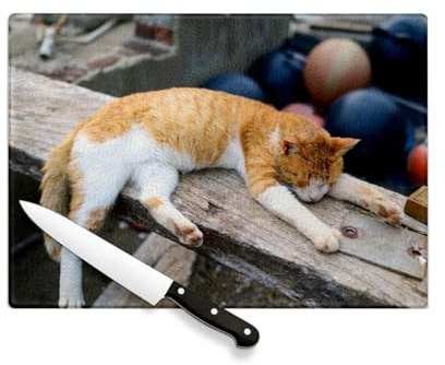 Planche à Découper en Verre Trempé - Chat Qui Paresse Sur Le Port - Protection Plan de Travail et Dessous de Plat Résistant Chaleur 2 Tailles Imprimé en France
