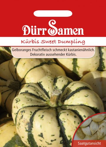 Dürr-Samen - Kürbis Sweet Dumpling Saatgut