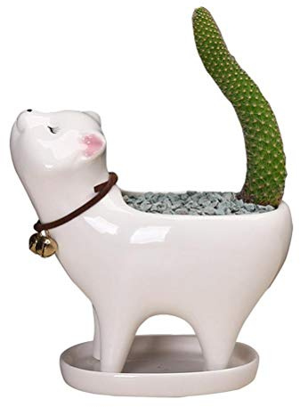 Yolluu Pots d'intérieur pour plantes, queue de chat, pot de fleurs, cactus, plantes succulentes avec écharpe de chat pour la maison et le bureau, décoration de bureau,