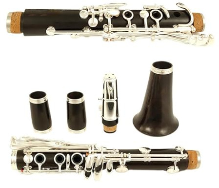Klarinette Instrument 19 Tasten B-Klarinette, Ebenholz-Massivholzrohrkörper, Versilberte Tasten, Klarinette Mit Aufbewahrungskoffer