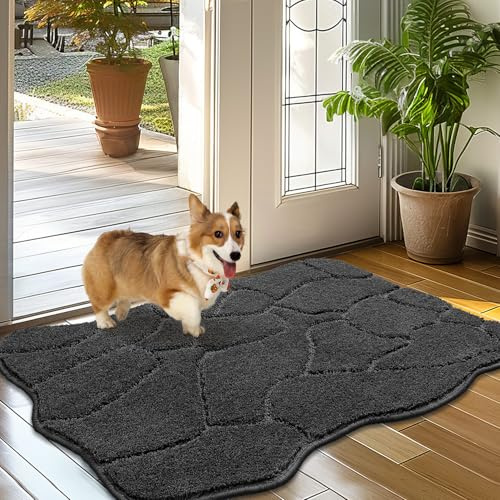 Biscpro Fußmatte Innen Weicher 60 x 90 cm, rutschfeste Waschbar Türmatte, Schmutzfangmatte Sauberlaufmatte,Eingangstürmatte,Fussmatte für Hund, Eingang, Haustür,Flur