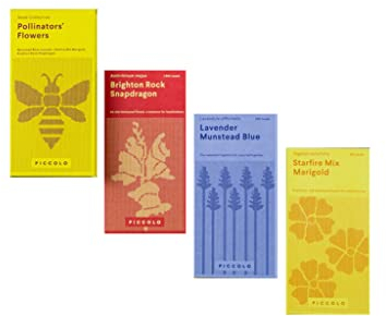 Piccolo Seeds Pollinators Flowers Collection - Snapdragon, Blue Lavender & Marigold