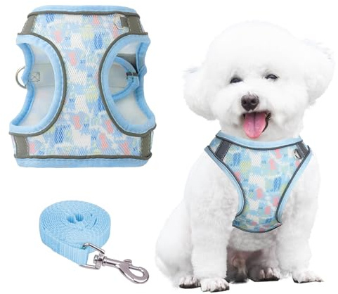 PawSailor Extra Kleines Hundegeschirr Mit Leine, Step-In Air Mesh Blumendruck, Kein Ziehen, Weste, Verstellbar, Reflektierend, Weich Gepolstert, Ausbruchsicher, Haustiergeschirr, Blau, XXXS