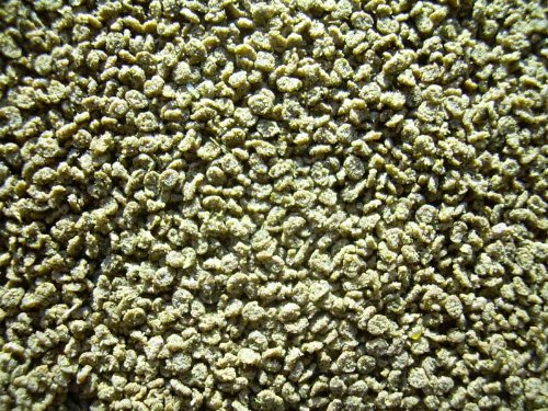 Cichliden Granus Grün 5000ml