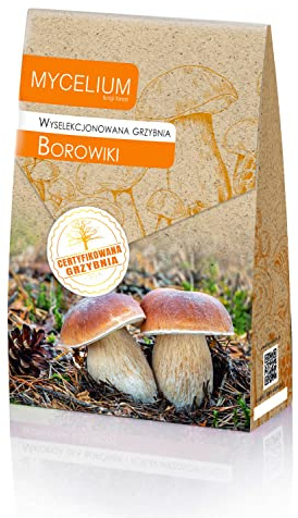 Myzel für Boletus edulis /3 Arten Gemeiner Steinpilz, zum Pflanzen eigener Pilze