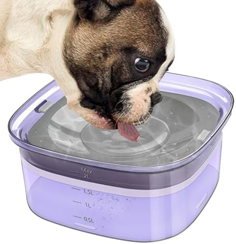 Fukamou Anti Splash Wassernapf Für Hunde, Hundewassernapf Für Chaotische Trinker, 2L Wassernapf Mit Großem Fassungsvermögen Für Katzen Und Hunde, Transparenter Langsamer Wasserspender Für Haustiere