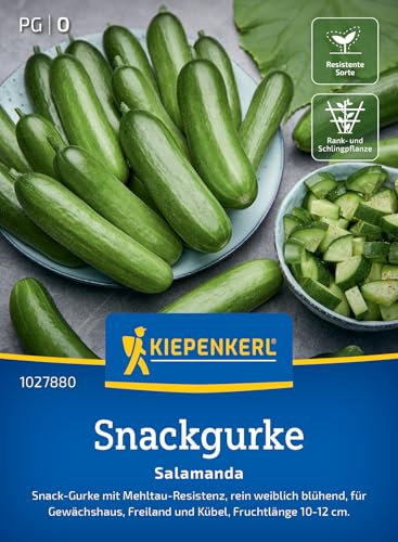 Kiepenkerl Snackgurkensamen Salamanda 1027880 - Saftige und süß-würzige Gurkensamen für Gewächshaus, Freiland und Kübel, robuste Gurken-Gemüsesamen