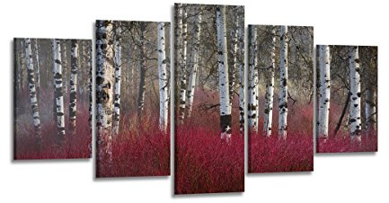 Visario Leinwandbild Birkenwald Rotes Unterholz 200 x 100 cm 5-teilig Direktdruck auf Leinwand mit Holzrahmen Wandbild Kunstdruck XXL Wanddeko für Wohnzimmer Schlafzimmer Artikelnr. 6335