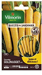 Vilmorin - Sachets graines carottes Goldnugget HF1