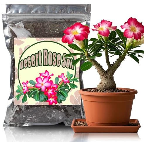 GOTVUGE Organic Desert Rose Potting Soil Mix for Healthy Growth - 100% Natural Potting Mixing - Specially Formulated Nutrient-Rich Plant Soil for Desert Rose Plant (10L)