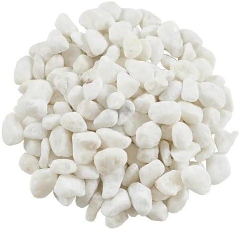 Galets naturels Jardin Fleur Bonsaï Petit Pot Plante Succulente Pierres Aquarium Gravier Extérieur Décoratif Succulent Vase-5-8mm-Blanc (100g)