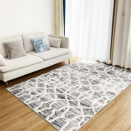 RUGMRZ Alfombras Alargadas Alfombras Cocina Decoración del Pasillo del área Alfombra de la Sala de Estar Alfombra del Dormitorio Sin decoloración Alfombras para Gatos 70X140CM