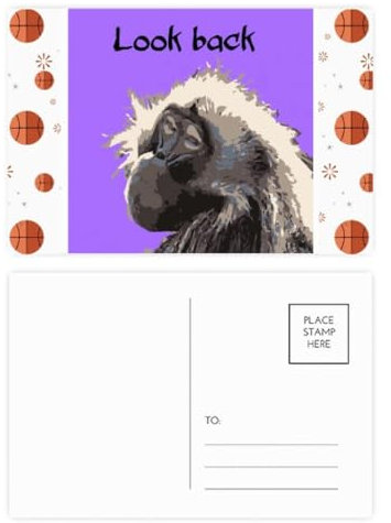 Primate Baboon Papio Basketball-Postkarten-Set, Dankeskarte, Versandseite, 20 Stück
