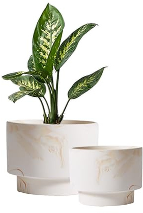 Olly & Rose White with Beige Streaks Ceramic Plant Pot Set 2-16.5,13.5cm Medium Plant Pots Outdoor and Indoor - White Planters - Flower Pots Raised