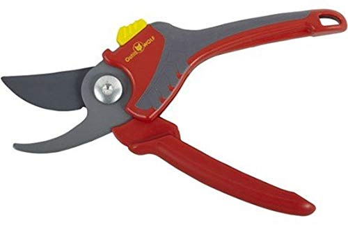 Outils Wolf Spain OG200 – Schere-Gartenschere Schnittstärke wandlungsfähige, Orange und Grau