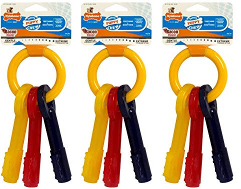 Nylabone Puppy Teething Keys Large Bacon Chew Toy for Dogs - 3 Pack