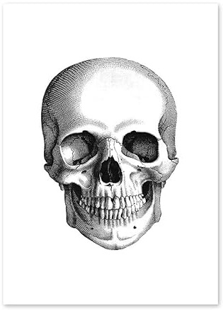 Supkancl Bianco e Nero Cervello Cuore Teschio Rene Anatomia Arte murale Pittura su Tela Poster Stampe nordici Immagini murali Decorazioni for Ufficio(G,13X18 cm No Framed)