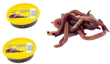 Dendrobena - Lombrices de pesca, gusanos rojos gigantes, alimento vivo para pesca, mascotas y reptiles, 2 latas, pequeñas, medianas o grandes (medianas 2 latas de 25 unidades)