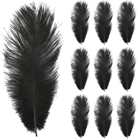 Amexo 10Pcs Straußenfedern 25-30cm Natürliche Straußenfedern Strauß Feder zum Basteln für DIY Traumfänger Zubehör,Heimdekoration,KostüMe,Tischdeko Hochzeit Party Fest Hüte Kleidung Dekoration,Schwarz