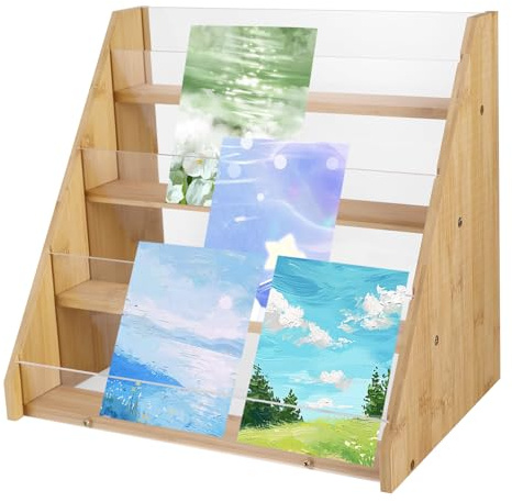 BTBHIHO Card Display Rack,4-Tier Magazine and Book Display Rack, High Transparency Panel Acrylic Racks,Step Display Racks for Magazines Format Books Desktop Cosmetic Storage