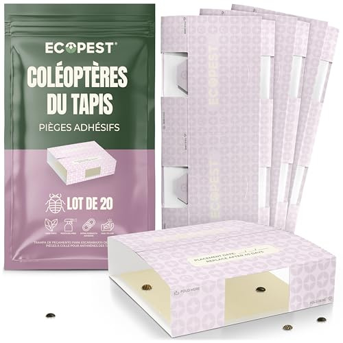 Pièges à Colle pour anthrènes des Tapis - Paquet de 20