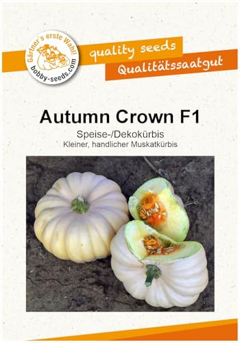 Autumn Crown F1 Kürbissamen von Bobby-Seeds, Portion