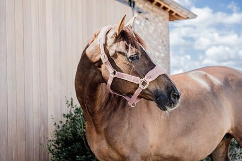 Kentucky - Teddy Fleece Halfter alt rosa cob