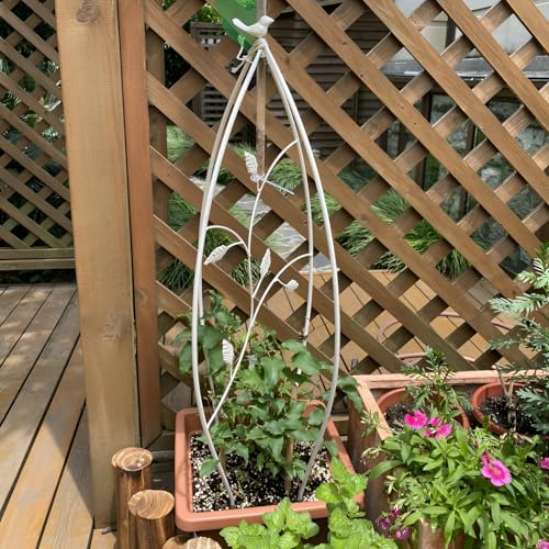 GUOGLZ Rankhilfe Rankobelisk Metall 100cm Pflanzenhalter Pflanzen Kletterhilfe Witterungsbeständige Gartenspalier Freistehende Für Tomaten Gemüse Blumen