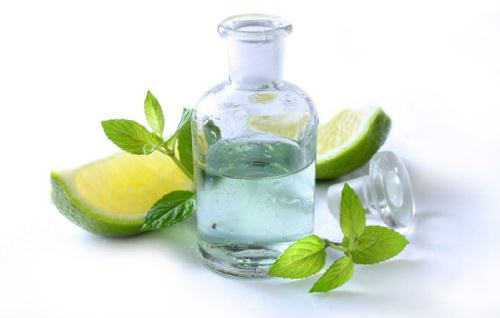 Lemongras - Thai-Aromaöl - 500ml - Massageöl mit dem Duft aus Thailand - Lemongrasöl