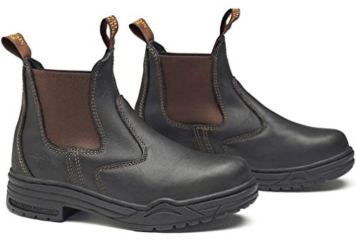 Mountain Horse Protective Jodhpur Jr