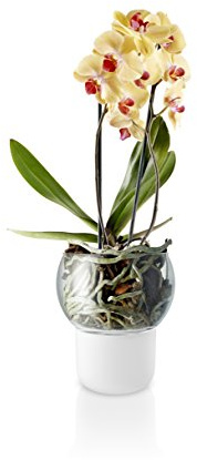 EVA SOLO | Orchideentopf 15cm Frost | Selbstbewässernder Orchideentopf | Frosted Glass | Hält Zimmerpflanzen, Blumen, Kräuter und Gemüse im Innenbereich bewässert und gesund