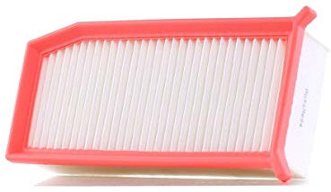 AUTOMEGA 180039410 Filtre à air du moteur Cartouche filtrante