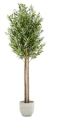 MAIA SHOP Olivo Artificial 185 cm – Árbol Decorativo Realista con Tronco de Madera Natural y Aceitunas, Planta Artificial Grande Estilo Mediterráneo para Hogar, Oficina, Hoteles y Proyectos Contract