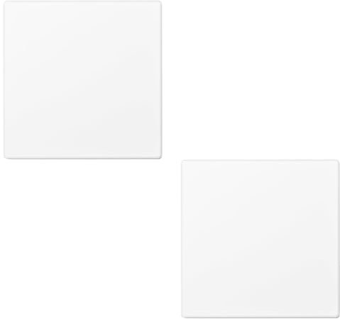 Landrain 2 interruttori della luce, copertura cieca, presa da incasso, con coperchio cieco, 8,6 x 8,6 cm (bianco)