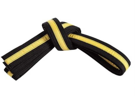 Mastery Apprentice (black belt/yellow stripe, 5)