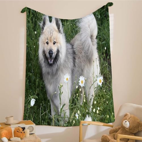 TMMDH Blumen und Gras Kuscheldecke Kinder 100 x 150 SüßEr Hund Weiche Flauschige Plüsch Decke Für Haustie, Leichte Flanell Fleecedecke Tagesdecke/Sofadecke/Couchdecke/Wohndecke/Hundedecke