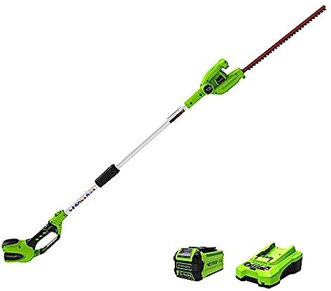 PAKJEL 40V 20quot; Cortasetos de pértiga inalámbrico, batería de 2,0 Ah y Cargador incluidos