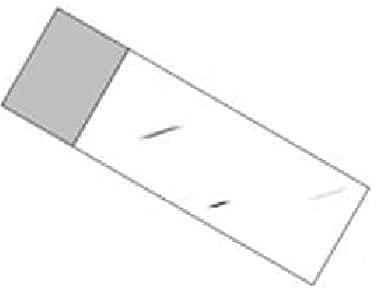 Menzel Kalk-Natron-Glas Objektträger mit Mattrand, Geschliffen 45 Grad, Extraweiß, 76 mm Länge, 26 mm Breite, 50 Stück