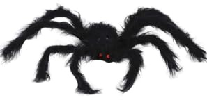 FIESTAS GUIRCA Araña Negra Peluda