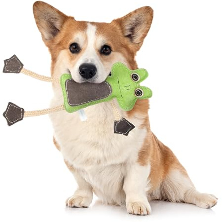 Emmi-pet Zerrspielzeug Frosch - Stressabbau für Hunde I Zahnpflege I Mit Kokosfaserfüllung I Ideal für für Welpen, mittelgroß & große Hunde I 1 Stück
